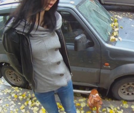 Подцепил на улице девушку с собакой и привел домой ебаться